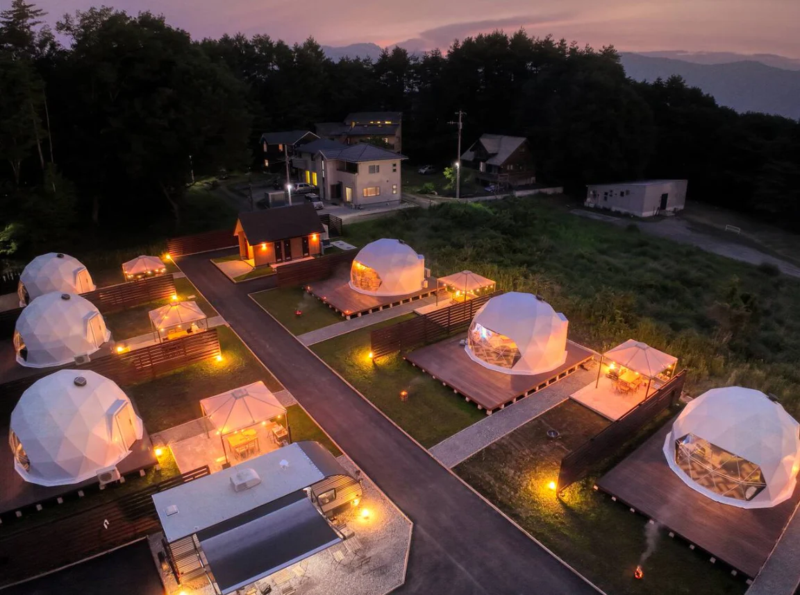 Geodesic Dome – Luxury Glamping & Event Structure - Image 4