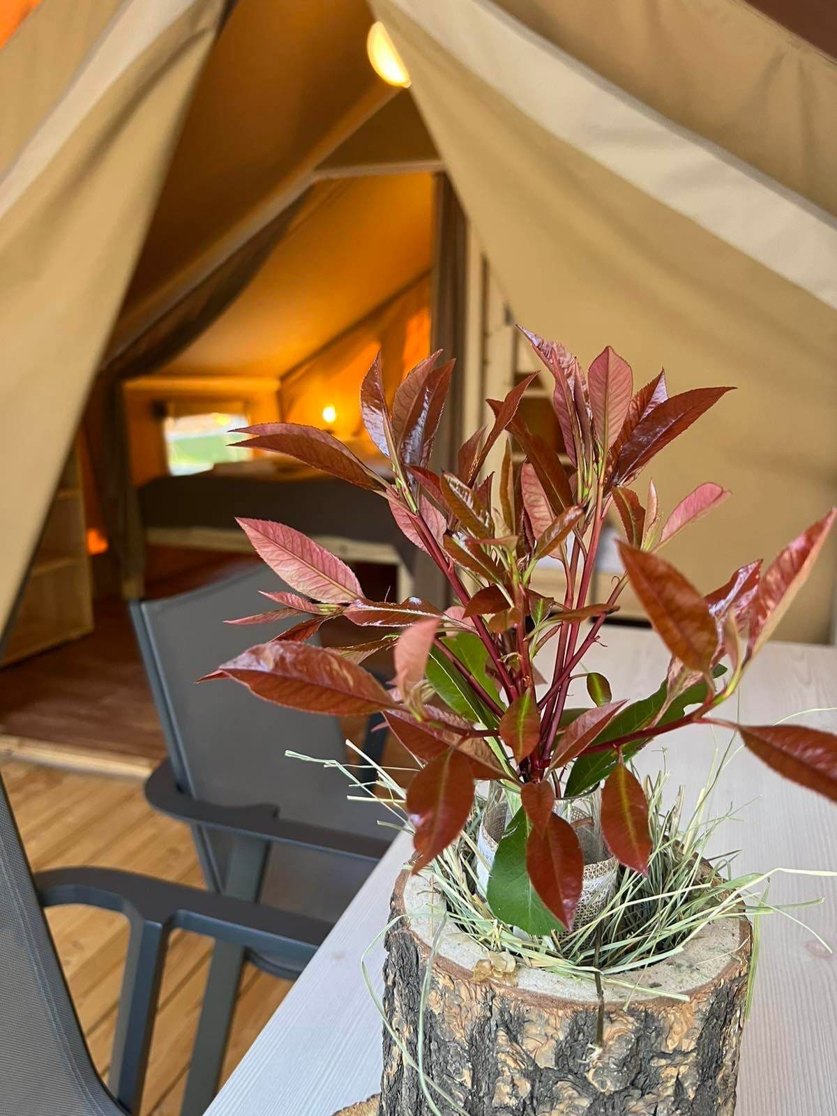 Safari Tent Luxe - Image 8