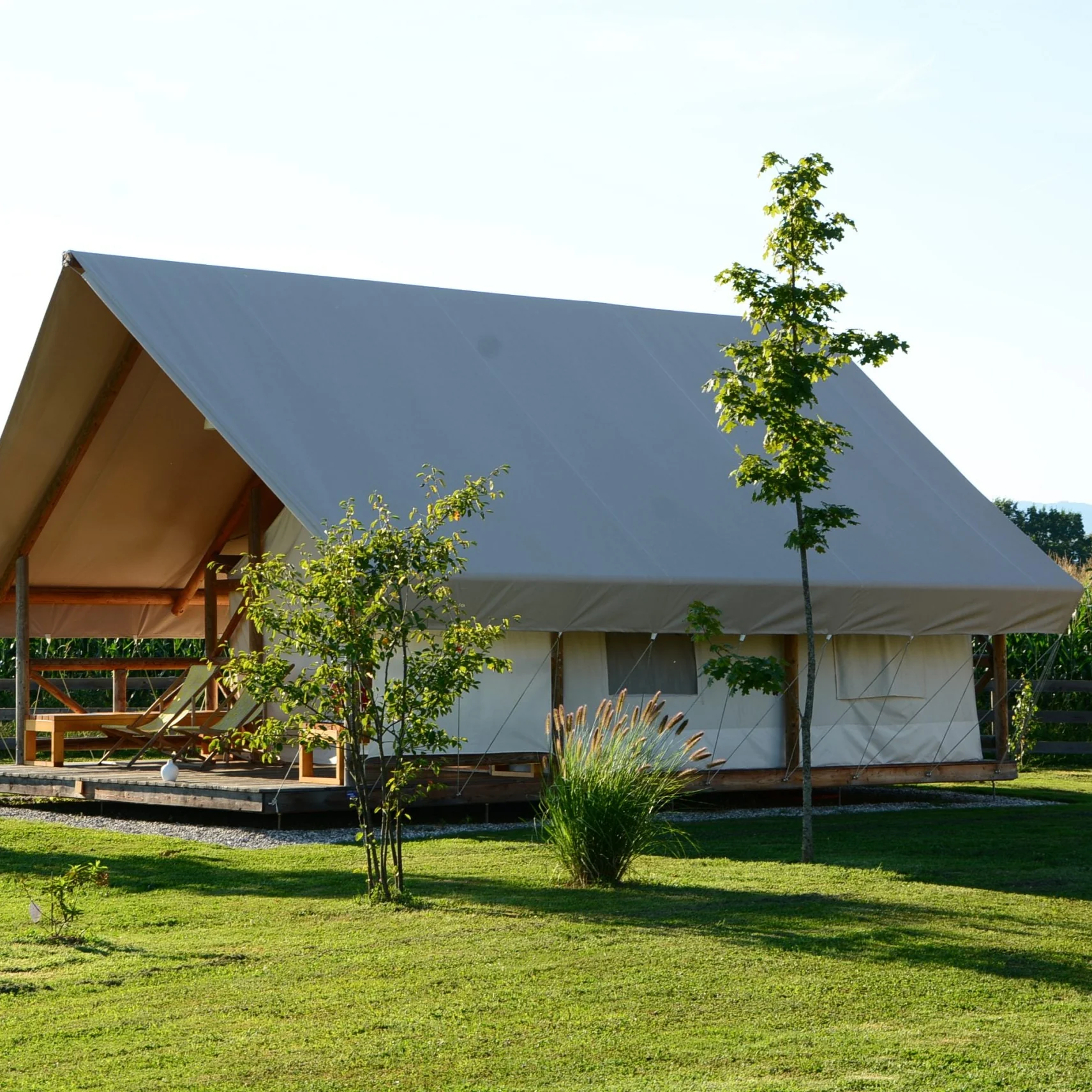 Safari Tent Vista Max - Image 3